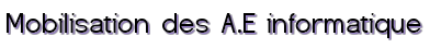 Mobilisation des A.E informatique